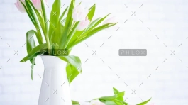 demo-attachment-783-brooke-lark-210780@2x